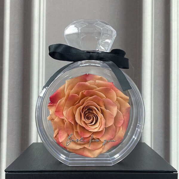 Natural Eternal Flower Ornaments Transparent Cover Dried Rose Gift Box For Christmas New Year Valentine's Day Home Decor - Image 3